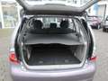 Mitsubishi Grandis Invite 7 Sitzer. - thumbnail 21