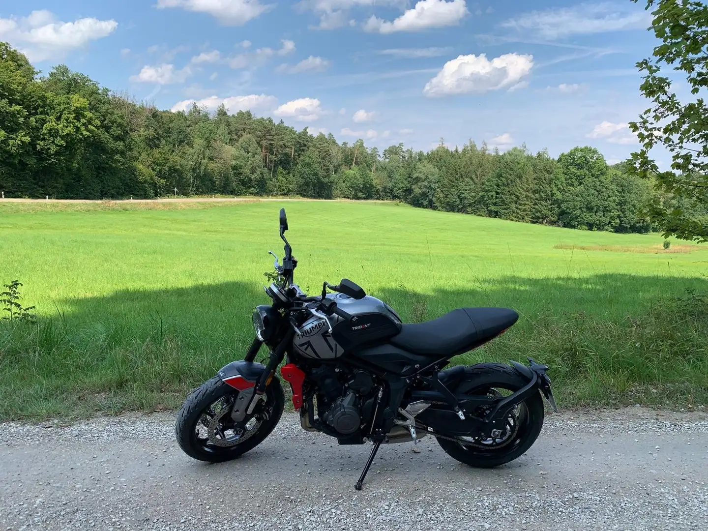 Triumph Trident 660 Stříbrná - 2