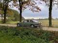 Mercedes-Benz S 260 SE 5-bak / 1986 / Nieuwstaat! Groen - thumbnail 10