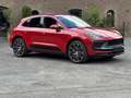 Porsche Macan T BOSE*PANORAMA*KAMERA*RELING*21 RS SPYDER Rot - thumbnail 19