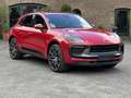 Porsche Macan T BOSE*PANORAMA*KAMERA*RELING*21 RS SPYDER Rot - thumbnail 21