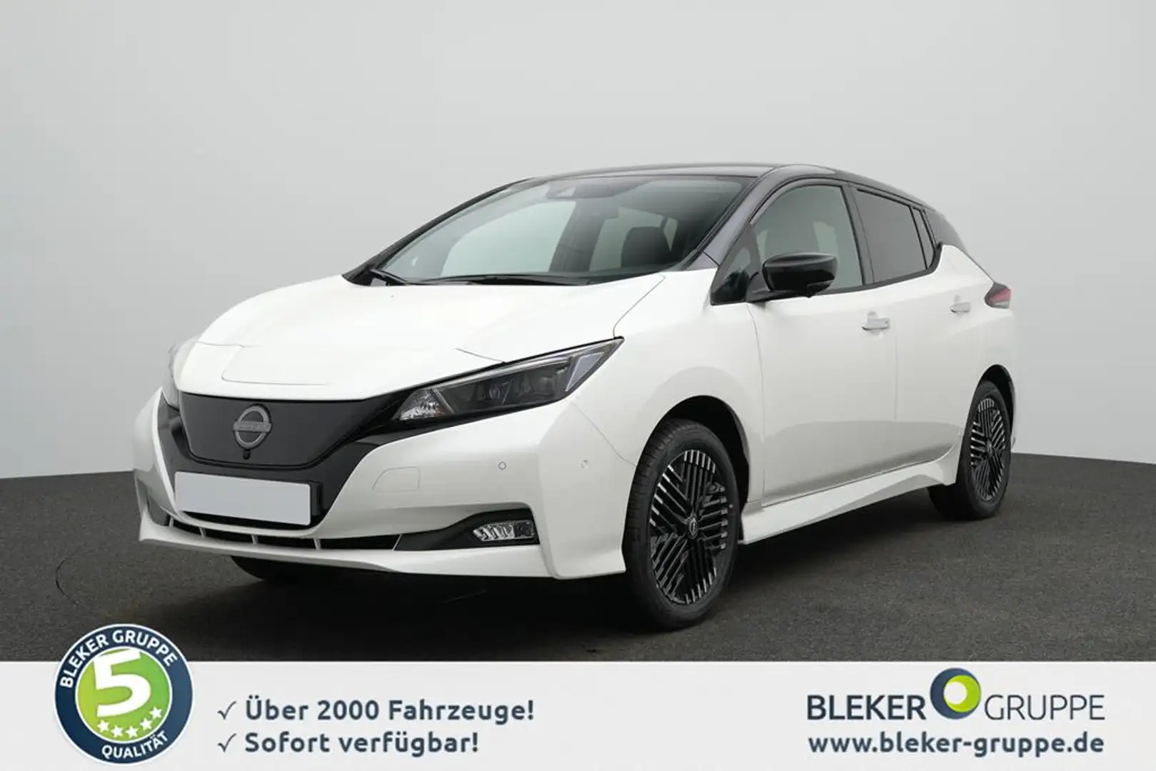 Nissan Leaf e+ Tekna Wit - 1