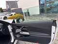 Mercedes-Benz CLE 53 AMG AMG CLE 53 4M cab Premium-Perf.Sitze-DriversPak. Blanco - thumbnail 16