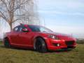 Mazda RX-8 RX-8 1.3 ben tenuta con CRS e lavori documentati e regolarmente manutentata Rojo - thumbnail 1