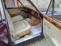 Jaguar MK II Jaguar MK2 3.8 Braun - thumbnail 10