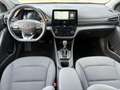 Hyundai IONIQ 1.6 GDi Plug-in Hybrid Level 5 Aut. 8-fach Weiß - thumbnail 10