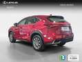 Lexus NX 300 300h Business Navigation 2WD Rojo - thumbnail 3
