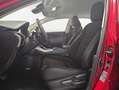 Lexus NX 300 300h Business Navigation 2WD Rojo - thumbnail 10