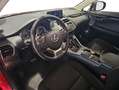 Lexus NX 300 300h Business Navigation 2WD Rojo - thumbnail 13