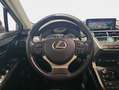 Lexus NX 300 300h Business Navigation 2WD Rojo - thumbnail 16