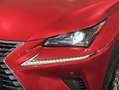 Lexus NX 300 300h Business Navigation 2WD Rojo - thumbnail 29