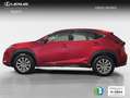 Lexus NX 300 300h Business Navigation 2WD Rojo - thumbnail 2