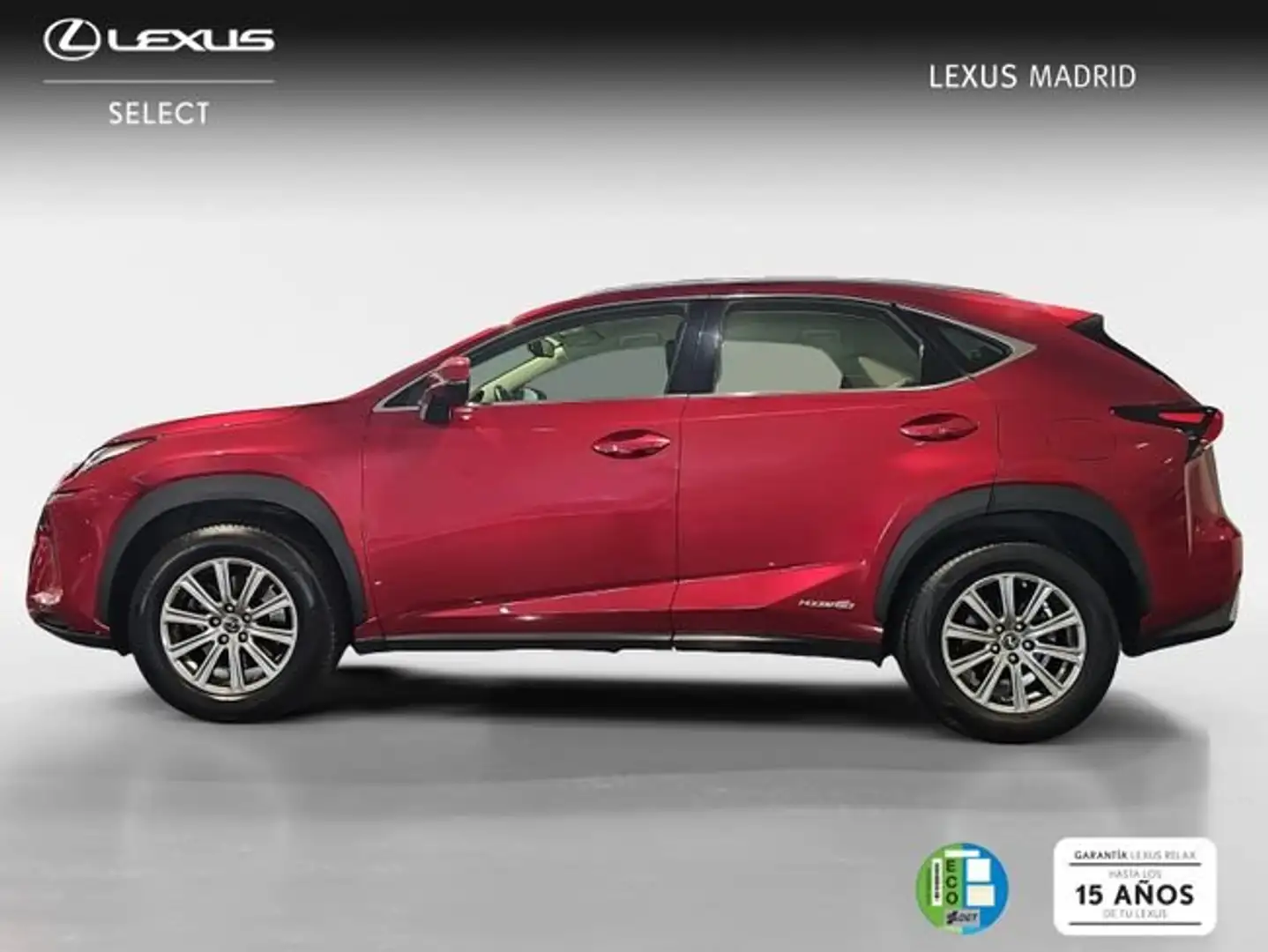 Lexus NX 300 300h Business Navigation 2WD Rojo - 2