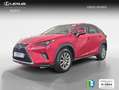 Lexus NX 300 300h Business Navigation 2WD Rojo - thumbnail 1