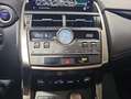 Lexus NX 300 300h Business Navigation 2WD Rojo - thumbnail 24