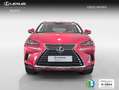 Lexus NX 300 300h Business Navigation 2WD Rojo - thumbnail 5