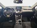 Lexus NX 300 300h Business Navigation 2WD Rojo - thumbnail 15