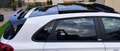 Hyundai i30 i30 N Performance Glasschiebedach, Navi, Winterr. Weiß - thumbnail 6
