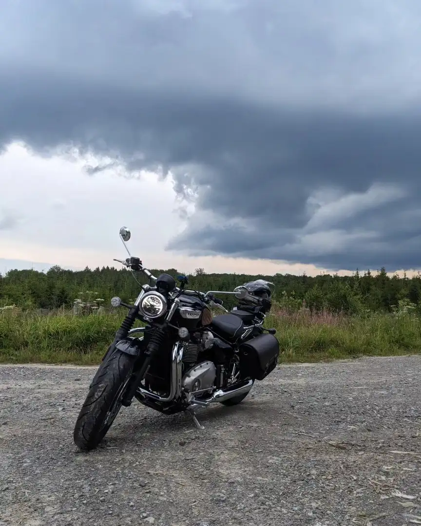 Triumph Speedmaster Czarny - 2