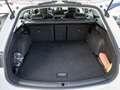 SEAT Leon Sportstourer 1.5 TSI Xcellence DSG AHK A Weiß - thumbnail 15