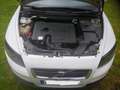 Volvo C30 1.6D DRIVe Kinetic 115 Bianco - thumbnail 12