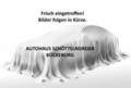 Renault ZOE EV50 135hp Evolution*ALLWETTER*WINTER*TECHNO* Gri - thumbnail 1