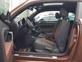 Volkswagen Beetle 1.4 TSI Allstar BMT Pano Navi RFK PDC Scheckheft Brun - thumbnail 11
