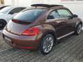 Volkswagen Beetle 1.4 TSI Allstar BMT Pano Navi RFK PDC Scheckheft Brun - thumbnail 6