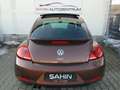 Volkswagen Beetle 1.4 TSI Allstar BMT Pano Navi RFK PDC Scheckheft Brun - thumbnail 4