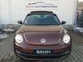 Volkswagen Beetle 1.4 TSI Allstar BMT Pano Navi RFK PDC Scheckheft Brun - thumbnail 3