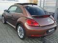 Volkswagen Beetle 1.4 TSI Allstar BMT Pano Navi RFK PDC Scheckheft Brun - thumbnail 5