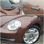 Volkswagen Beetle 1.4 TSI Allstar BMT Pano Navi RFK PDC Scheckheft Brun - thumbnail 9