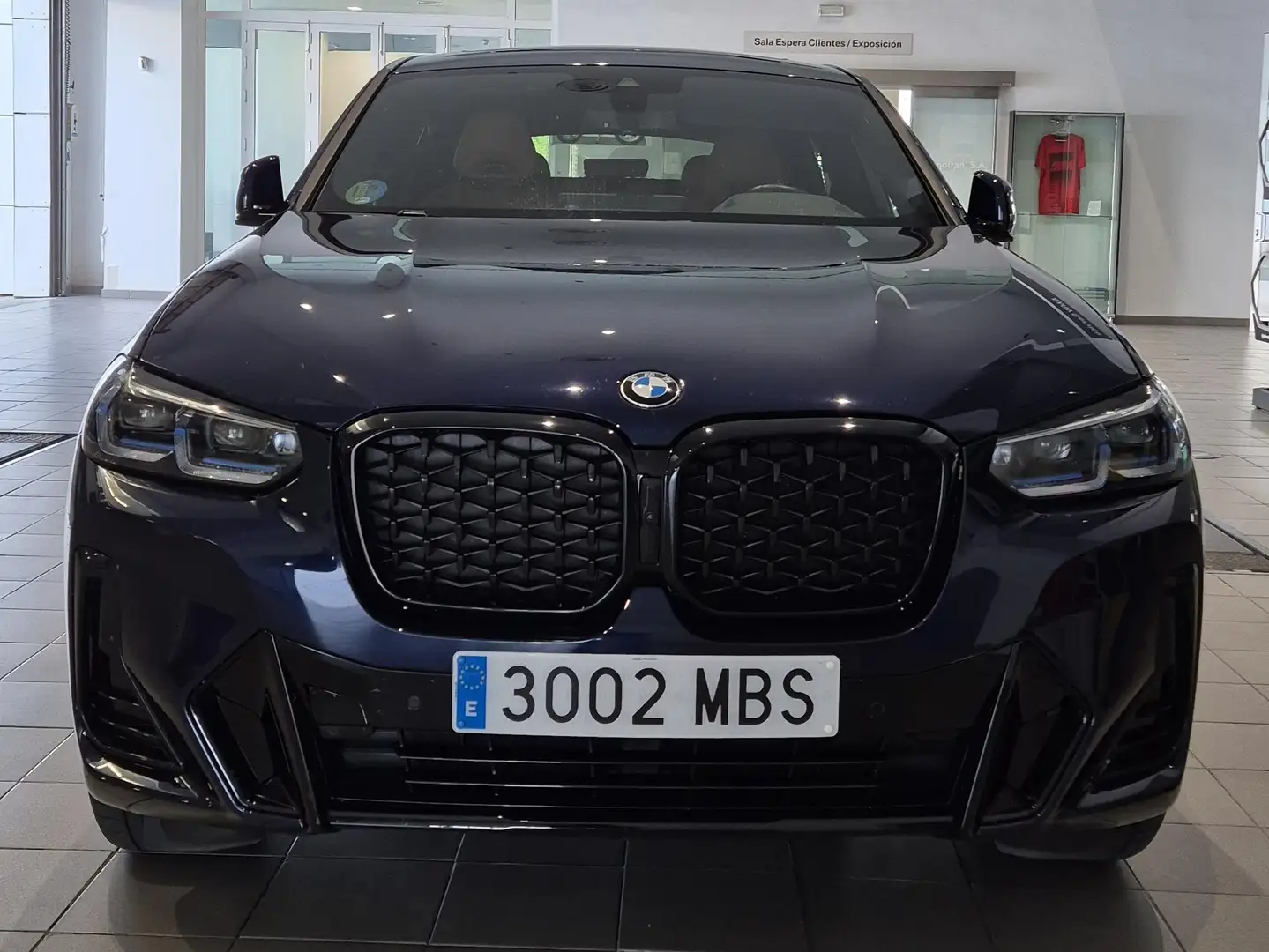 BMW X4 X4 xDrive 20d xLine Azul - 1