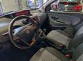 Lancia Ypsilon 0.9 TwinAir 85 CV 5 porte Metano Ecochic Elefant.B Rosso - thumbnail 9