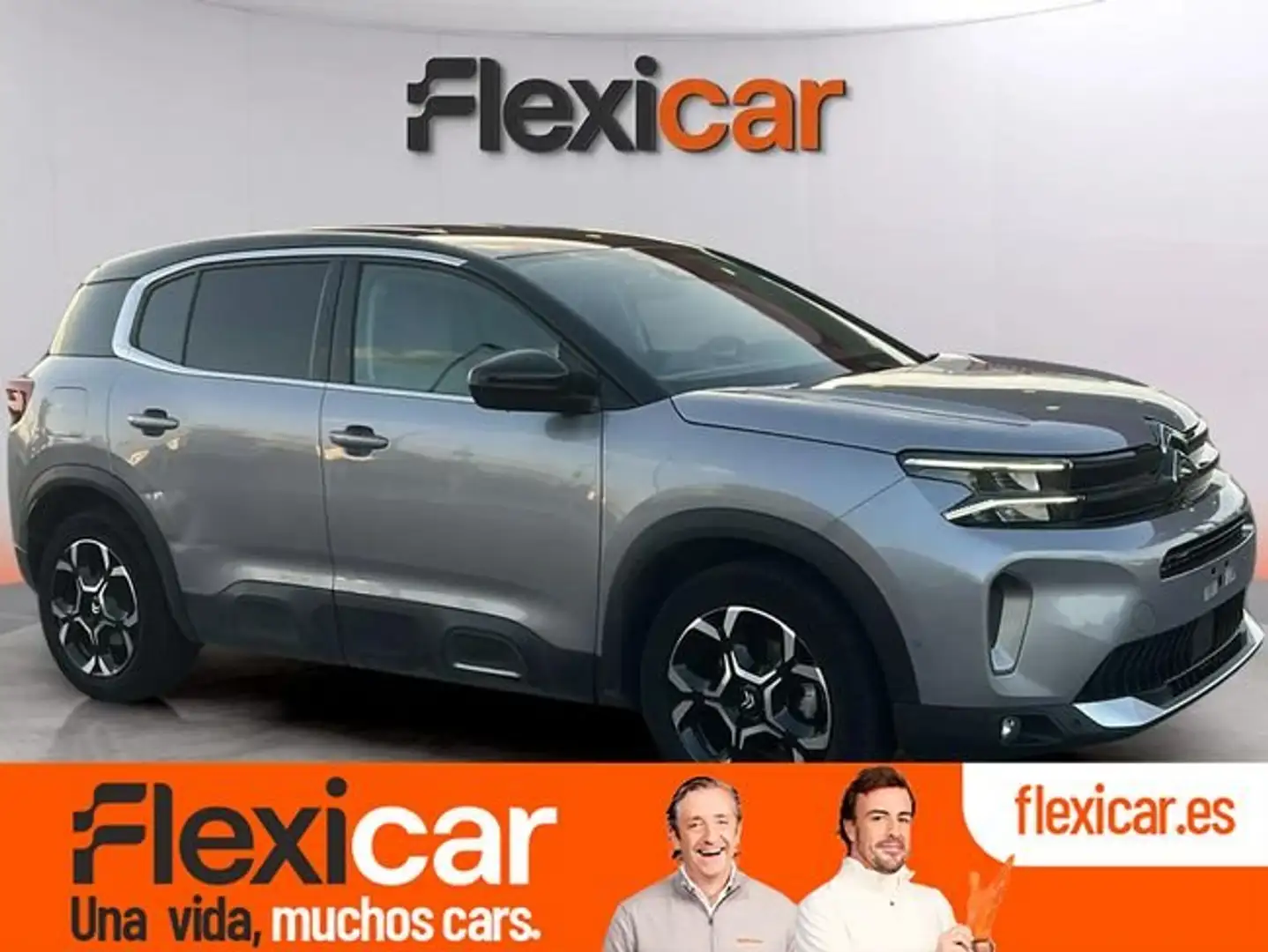 Citroen C5 Aircross BlueHDi S&S Max EAT8 130 Gris - 1
