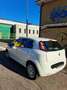 Fiat Grande Punto 1.4 Actual easypower Gpl 77cv 3p - thumbnail 11