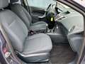 Ford Fiesta 1.4 TDCI 71CV Titanium - OK NEOPATENTATI Gris - thumbnail 14