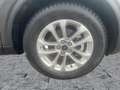 Ford Kuga 2.5 Duratec FHEV Titanium X AHK*CAM*LED*SHZ Grau - thumbnail 12