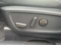 Ford Kuga 2.5 Duratec FHEV Titanium X AHK*CAM*LED*SHZ Grau - thumbnail 13