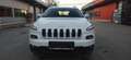 Jeep Cherokee Cherokee 2,0 MultiJet II AWD Longitude Longitude - thumbnail 8