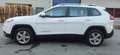 Jeep Cherokee Cherokee 2,0 MultiJet II AWD Longitude Longitude - thumbnail 2
