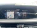 Alfa Romeo Stelvio 2.2 T.diesel 190CV AT8 Q4 Sprint Bianco - thumbnail 17