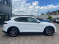 Alfa Romeo Stelvio 2.2 T.diesel 190CV AT8 Q4 Sprint Bianco - thumbnail 4