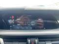 Alfa Romeo Stelvio 2.2 T.diesel 190CV AT8 Q4 Sprint Bianco - thumbnail 14