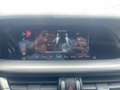 Alfa Romeo Stelvio 2.2 T.diesel 190CV AT8 Q4 Sprint Bianco - thumbnail 15