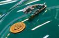 Jaguar XK 120 - thumbnail 14