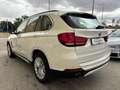 BMW X5 231cv TETTO APRIBILE Weiß - thumbnail 6