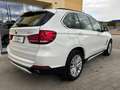BMW X5 231cv TETTO APRIBILE Weiß - thumbnail 3