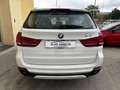 BMW X5 231cv TETTO APRIBILE Weiß - thumbnail 4
