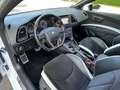 SEAT Leon Cupra 280 *PANO*DYNAMIC*S-SITZE*SOUND* Blanc - thumbnail 8